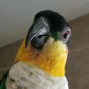 oops-i-moved1294629101938374702 avatar