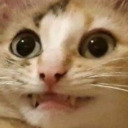 oops-mymom-said-no avatar