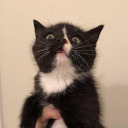 oopsiepoopsie-herewegoagain avatar