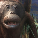 oopstismeagain avatar