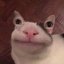 oopswrongopinion avatar