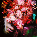 oorerchaos10969 avatar