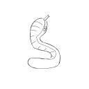 oouroboroso avatar