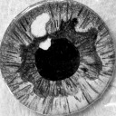 oozing-carbon avatar