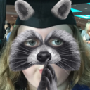 opal-deception avatar