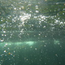 openhandsanyway avatar