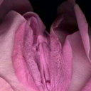 openhandsopenheart avatar