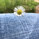 openheart02-blog avatar