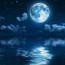 openmindpsych avatar