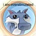 openthewindbag avatar