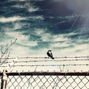 openthingsatrandom avatar