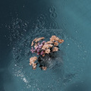 opentolove-posts avatar