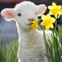 openyourmindandlive avatar