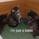 operation-weigh-less-blog avatar