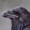 operationgaia avatar