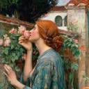 opheliaonthemoon avatar