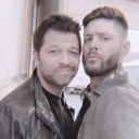 opheliathefluffyunicorn avatar