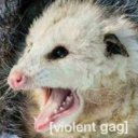 opossum-by-night avatar