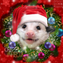 opossumarson avatar
