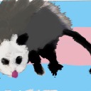oppossum-offical avatar