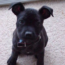 oprofessionelll avatar