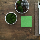 optimierungsinstitut avatar