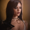 optimism-blooms avatar