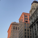 optimist-studies avatar