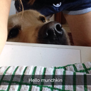 optimisticallycrazy avatar