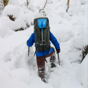 optimisticbouquetpeanut-blr avatar