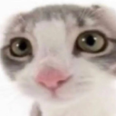 optimisticcloudfirecroissant avatar