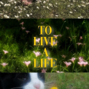 optimistichideoutsuit avatar