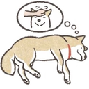 optimisticimagineer avatar