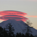 optimisticnihilism avatar