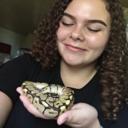 optimuspython-blog avatar