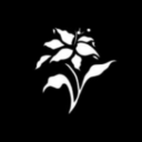 optionalopinion avatar