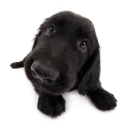 oquenaotivemos avatar