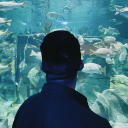 oracioncaribe avatar