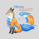 orange-ocean avatar