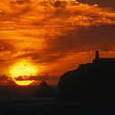 orange-turuncu avatar