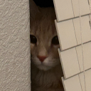 orangefellah25 avatar