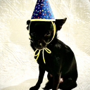 orangegardener avatar