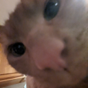 orangejuicewithice avatar