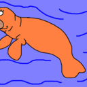 orangemanatee-blog avatar