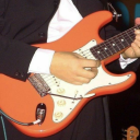 orangescanfly avatar