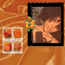 orangeslicesandpumpkinpie-blog avatar