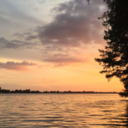 orangesthetic avatar