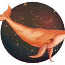 orangewhale23 avatar