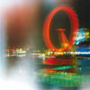 orbeavariegata avatar