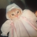 orbeezcasserole avatar